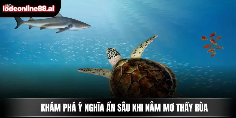 Nằm Mơ Thấy Rùa - Báo Hiệu Điềm Lành Hay Vận May 2 Khám phá ý nghĩa ẩn sâu khi nằm mơ thấy rùa