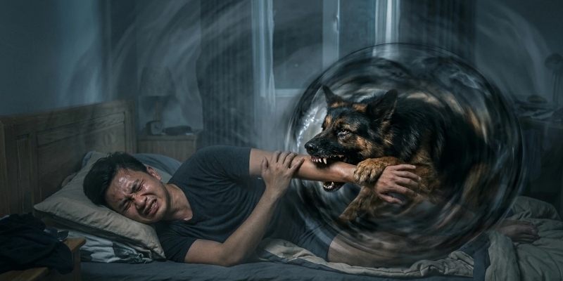 Mơ Thấy Chó Có Gì Thú Vị? Những Con Số Ẩn Sau Chiêm Bao 1 Mơ Thấy Chó Có Gì Thú Vị? Những Con Số Ẩn Sau Chiêm Bao